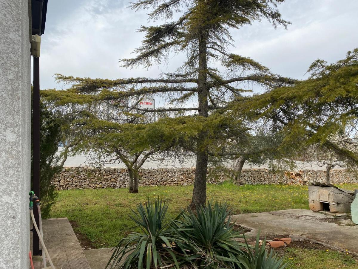 Villa Mima Santeramo in Colle Exterior photo